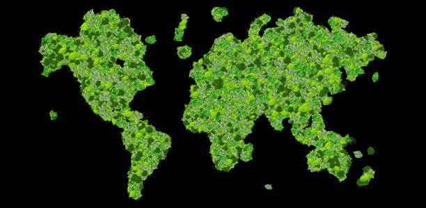 istock Earth, world map made from green leaves. 473884356
