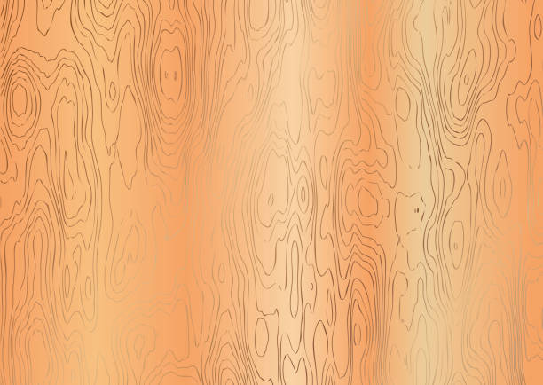 Wood grain vector art illustration