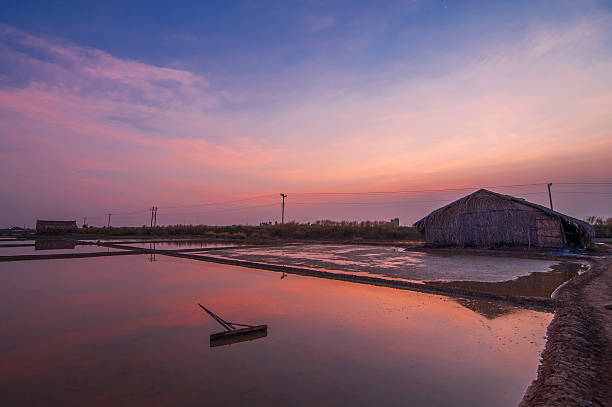 istock Salt field in Sunrise at Can Gio 473906396