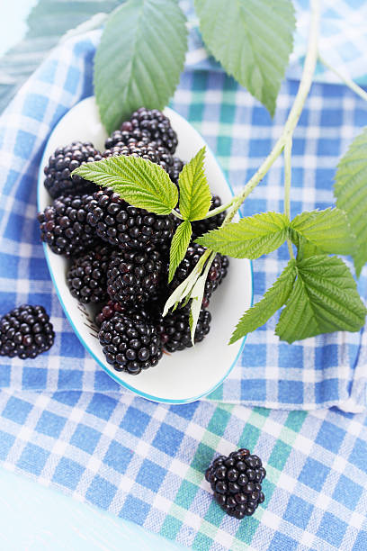 istock healthy food, blackberries,  top view 473913260