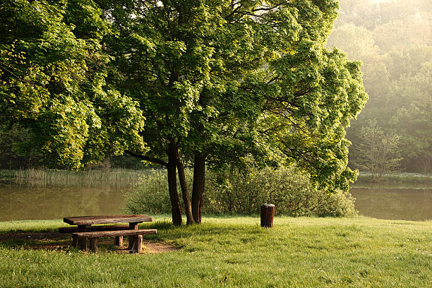istock Table in the park lake in the background 473933154