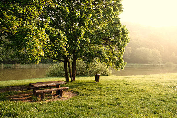 istock Table in the park lake in the background 473939878