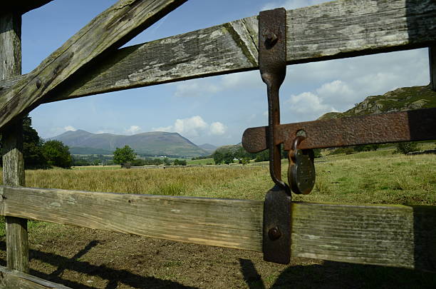 a lovely picture taken in the lake district, near keswick, england. a beautiful view of an old gate and lush green fields, looking out towards the mountains
