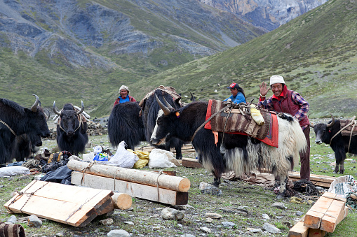 Shey, Nepal - September 4, 2011: Tibetan nomads working at Shey Gompa in Shey village.