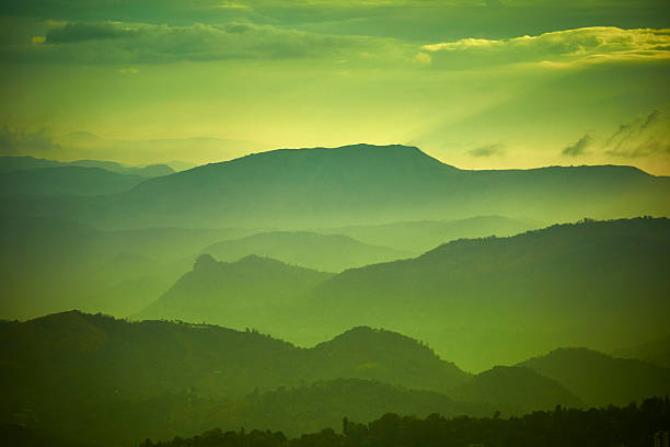 istock Tea plantation valley at green toned sunset in Munnar, India 473947190