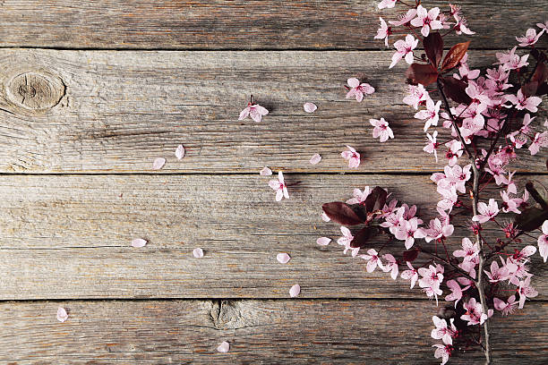 istock Spring flowering branch on grey wooden background 473947214