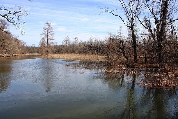 istock lake in autumn 473950290