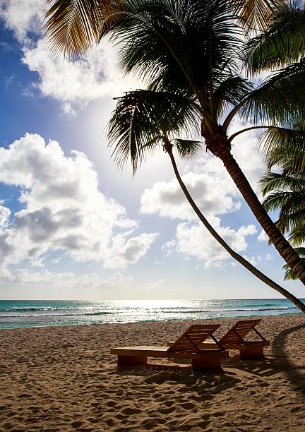 istock Saona island beach 473950378