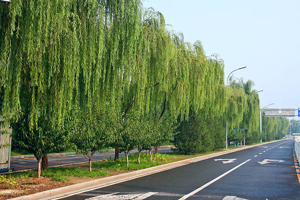 City roads stock photo