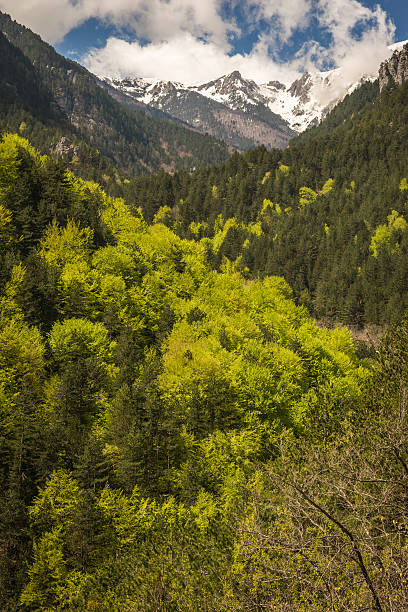 istock Picturesque landscape on Mount Olympus 473954702