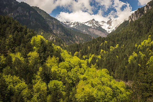 istock Picturesque landscape on Mount Olympus 473954704