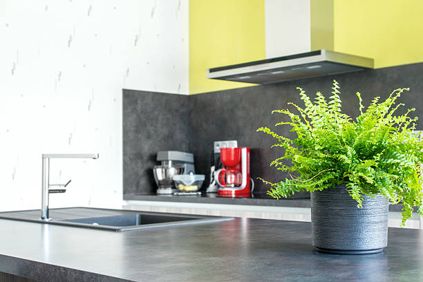 istock Green tiger fern plant pot placed in modern kitchen 473960866