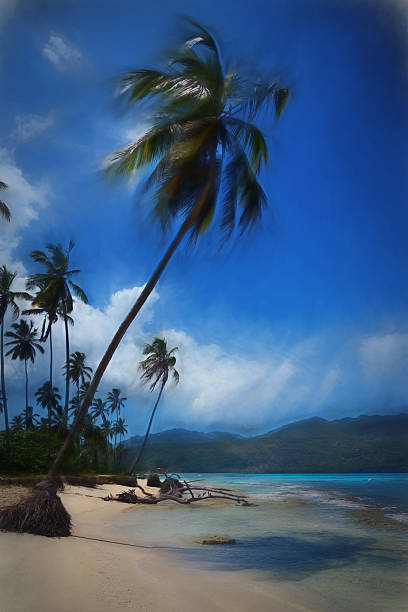 istock Digital art, paint effect, Samana Dominican republic, playa rincon 473961782