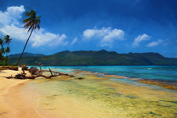 istock Digital art, paint effect, Samana Dominican republic, playa rincon 473961784