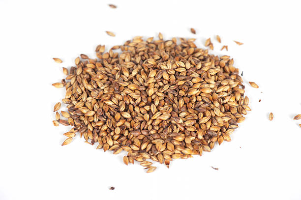 istock Pile of malt grains isolated on white background 473965062