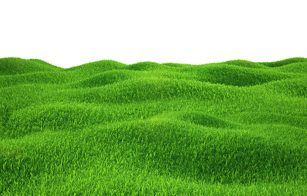 istock Green grass growing on hills with white background top view 473976214