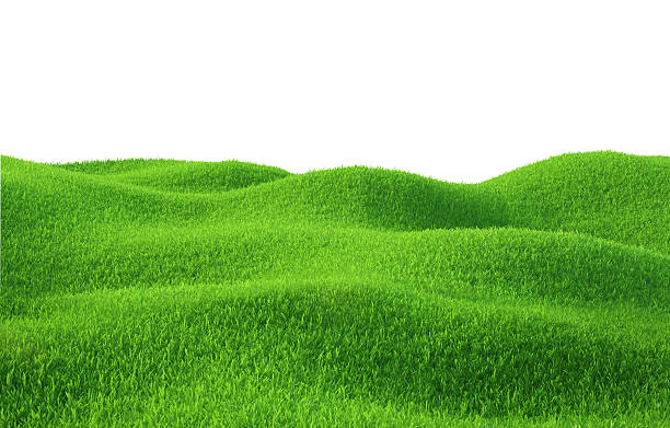 istock Green grass growing on hills with white background top view 473981768