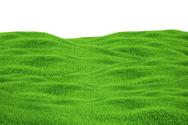 istock Green grass growing on hills with white background top view 473981778