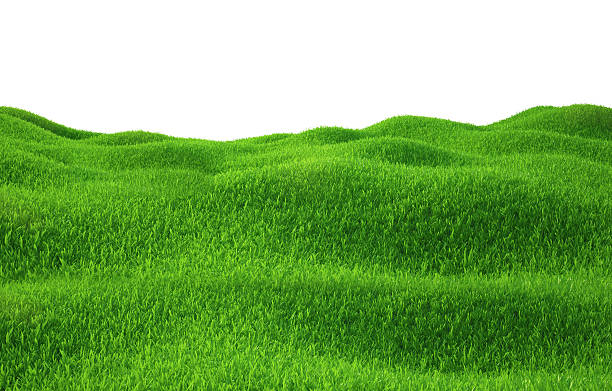 istock Green grass growing on hills with white background top view 473981784