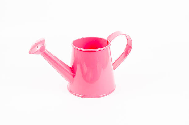 istock Pink garden watering pot 473984946