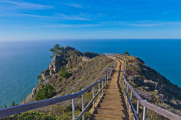 Muir Beach Ocean Overlook