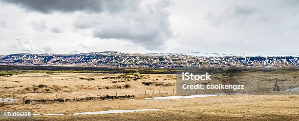 Winter Panorama With Snow And Mountain In Iceland Stock Photo - Download Image Now - 2015, Agricultural Field, Agriculture