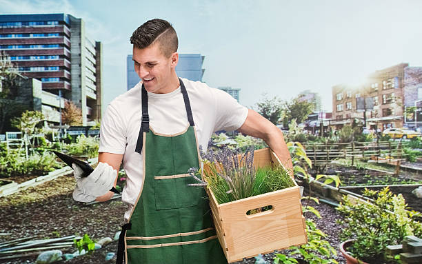 istock Smiling male gardener in garden and using tablet 474020486