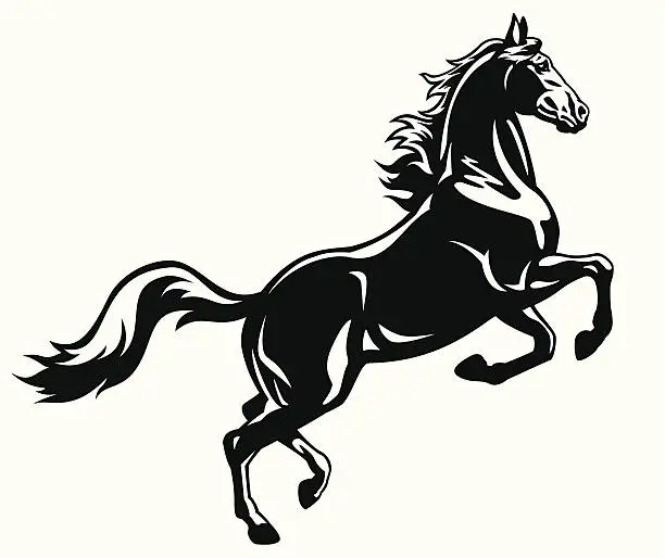 Vector illustration of rearing horse black white