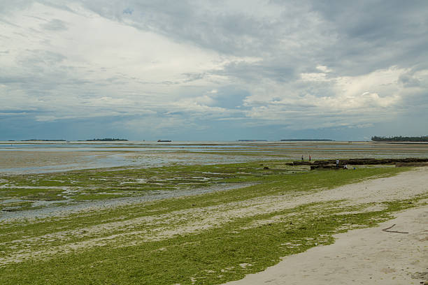 istock Shores of Dar Es Salaam 474033500