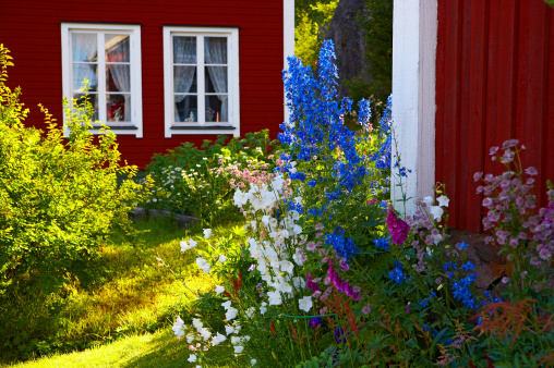 Boenham, Sweden - July 21, 2005: Typical swedish holiday homes with wonderful summer flowers in the foreground.