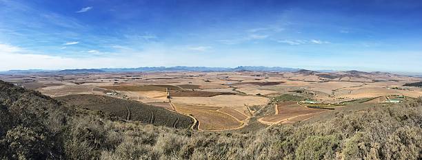 istock Panoramic view of Western Cape Winelands 474038926
