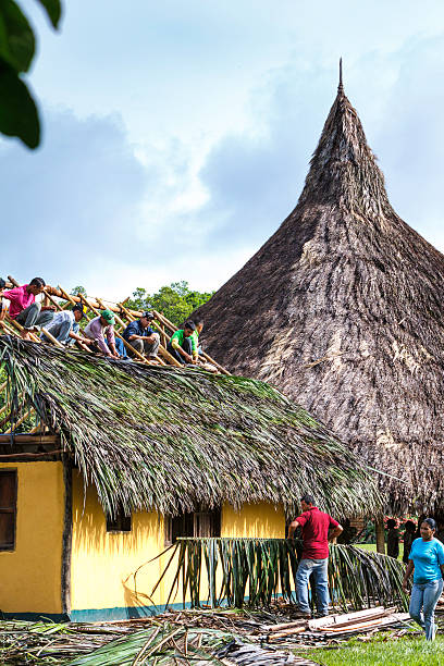 Group of indigenous making a hut roof with palm leaves Acarigua, Venezuela - July 26, 2013: Goup of indigenous people from Venezuela making a hut roof in a residential structure. Using interlocked palm leafs makes a water proff low cost protection while keeping traditions. thatched roof hut straw grass hut stock pictures, royalty-free photos & images