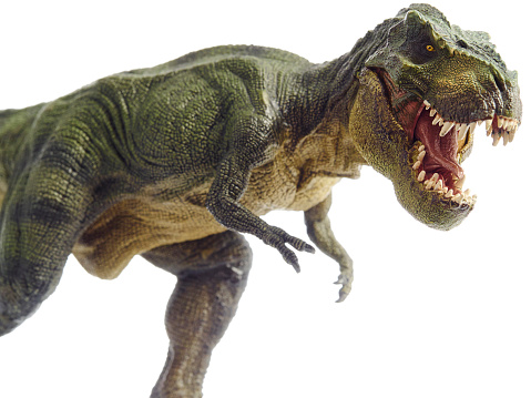 Isolated dinosaur and monster model in white backgroundIsolated dinosaur and monster model in white background