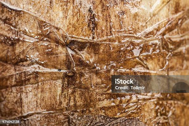 Abstract Texture Stock Photo - Download Image Now - 2015, Abstract, Aging Process