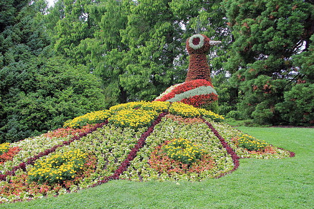 Flower garden in summer