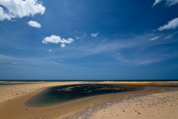 istock Kokkilai lagoon, Sri Lanka 474047992