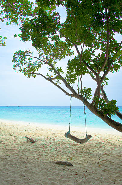 istock Swing on tropical  beach at koh rok, Krabi, Thailand 474048642