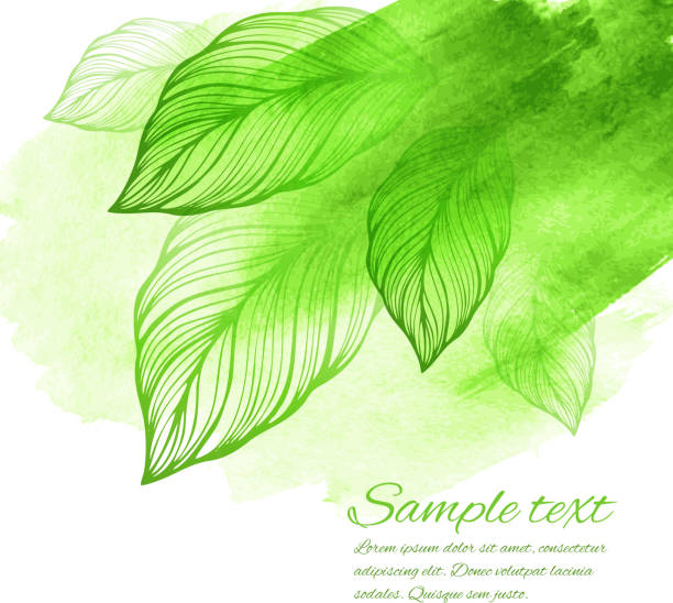 Watercolor green leaf design element. Vector illustration vector art illustration