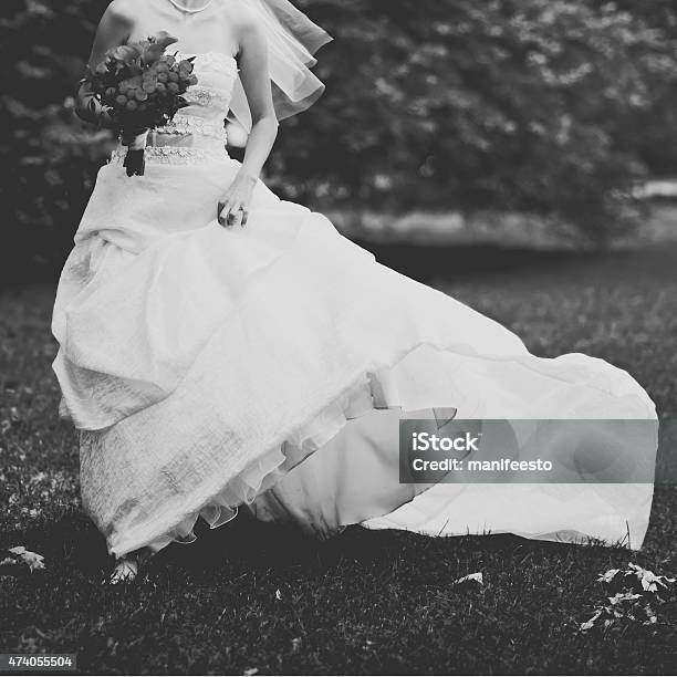 Wedding Picture Of Happy Bride Stock Photo - Download Image Now - 2015, Adult, Anniversary