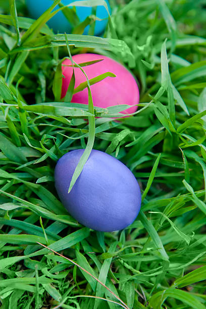 istock Violet and pink eggs in the grass 474055574