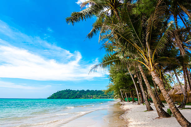 istock tropical beach in Thailand. 474056469