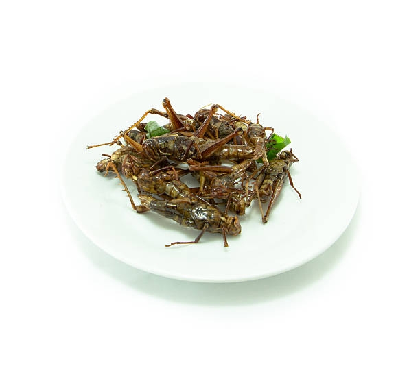 istock Fried insects amazing in thai food 474057432
