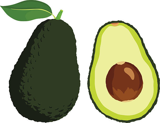 awokado - avocado cross section vegetable seed stock illustrations