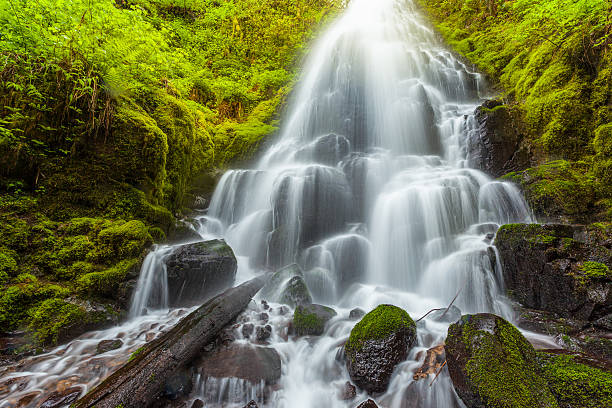 istock Fairy falls in Columbia River Gorge, Oregon. 474058608