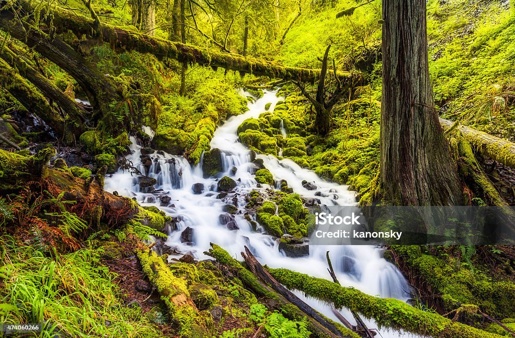 Cascade waterfalls in Oregon forest hike trail Cascade waterfalls in Oregon forest hike trail. 2015 Stock Photo