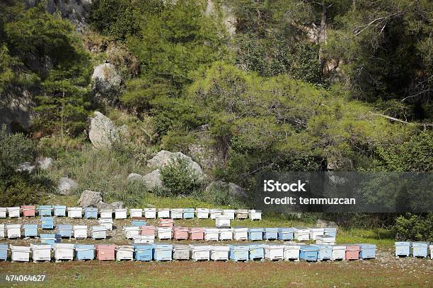 Bienenstock Stockfoto und mehr Bilder von Agrarbetrieb - Agrarbetrieb, Baum, Biene