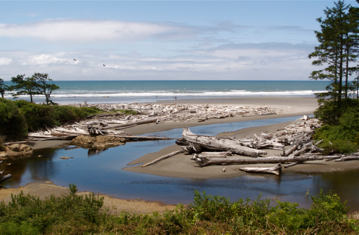 The beach at Kalaloch on the Pacific Ocean in Olympic National Park