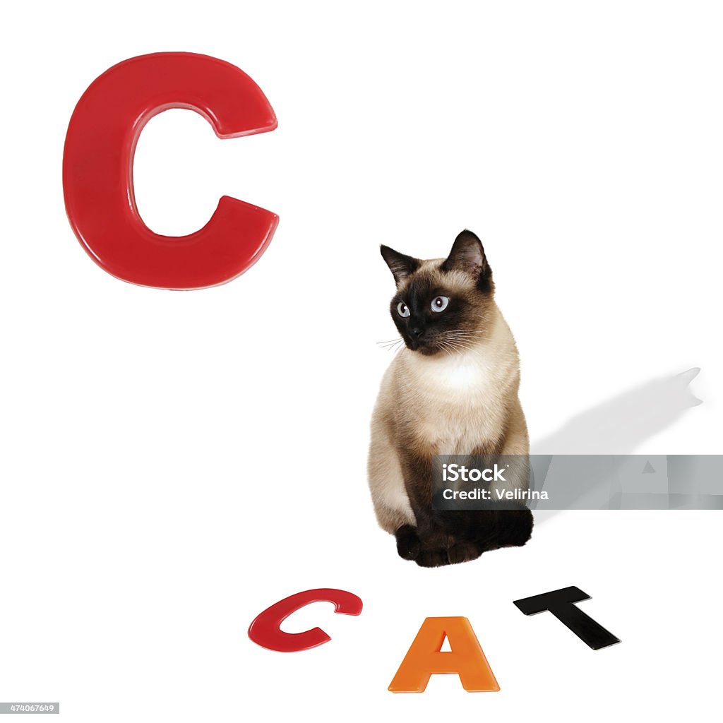 Illustrated alphabet letter C and cat. English Culture Stock Photo