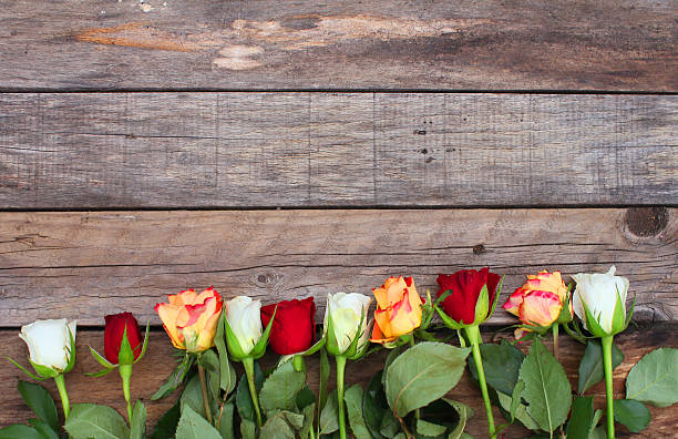 istock Bunch of mixed colors roses 474067942