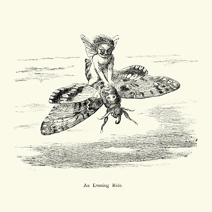 Vintage engraving from the story Princess Nobody A Tale of Fairyland, by Richard Doyle. Fairy flying on the back of a moth